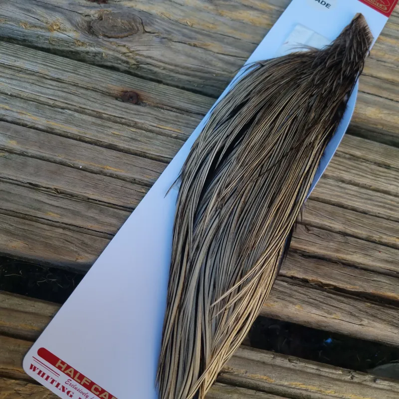 Whiting 1/2 Pro-Grade Dry Fly Rooster Cape in Silver Badger-2